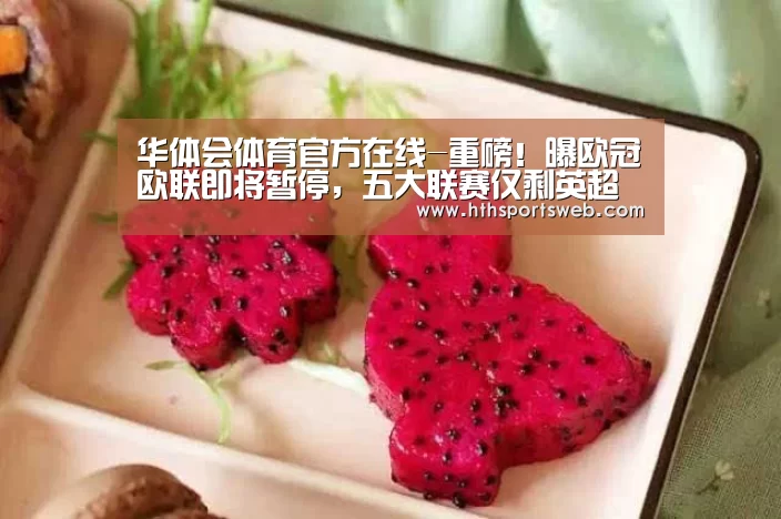 hth华体会官网