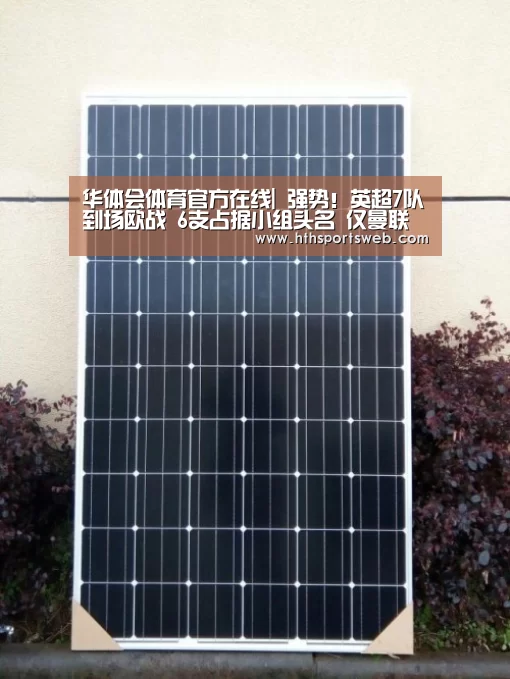 hth华体会官网