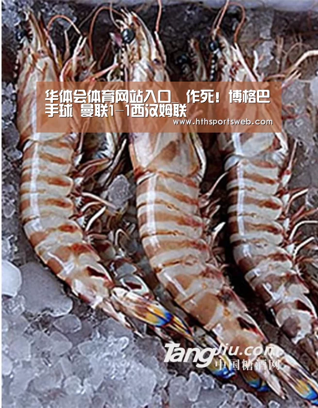 华体会体育网站入口